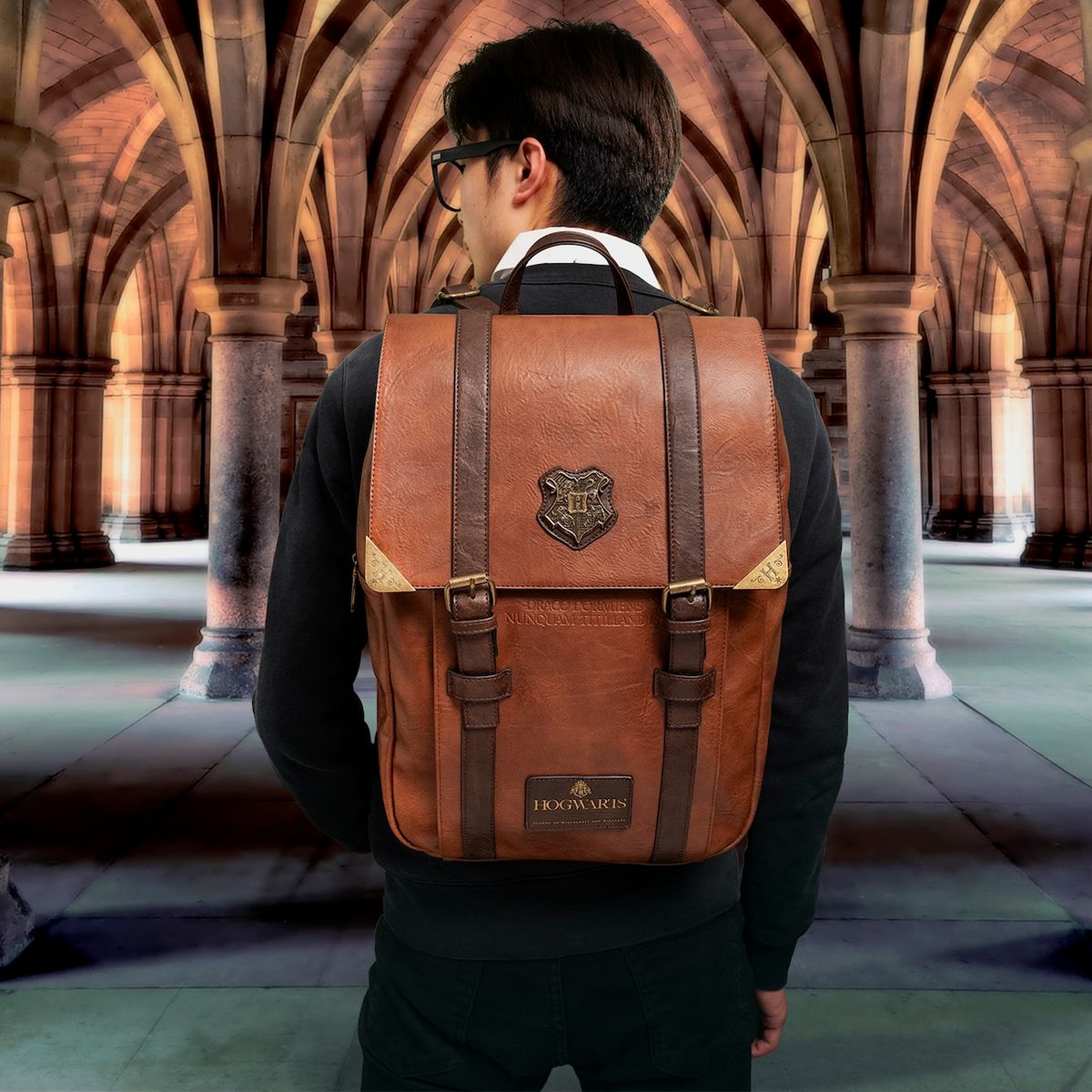 Harry Potter - Hogwarts - Reppu