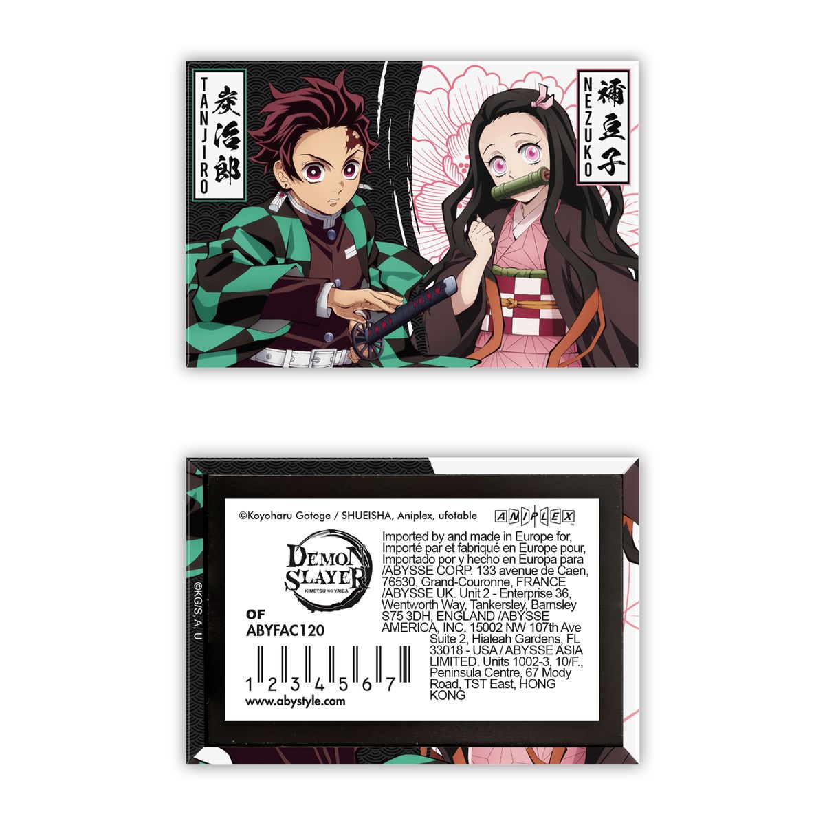 Demon Slayer - Tanjiro & Nezuko - Magneetti