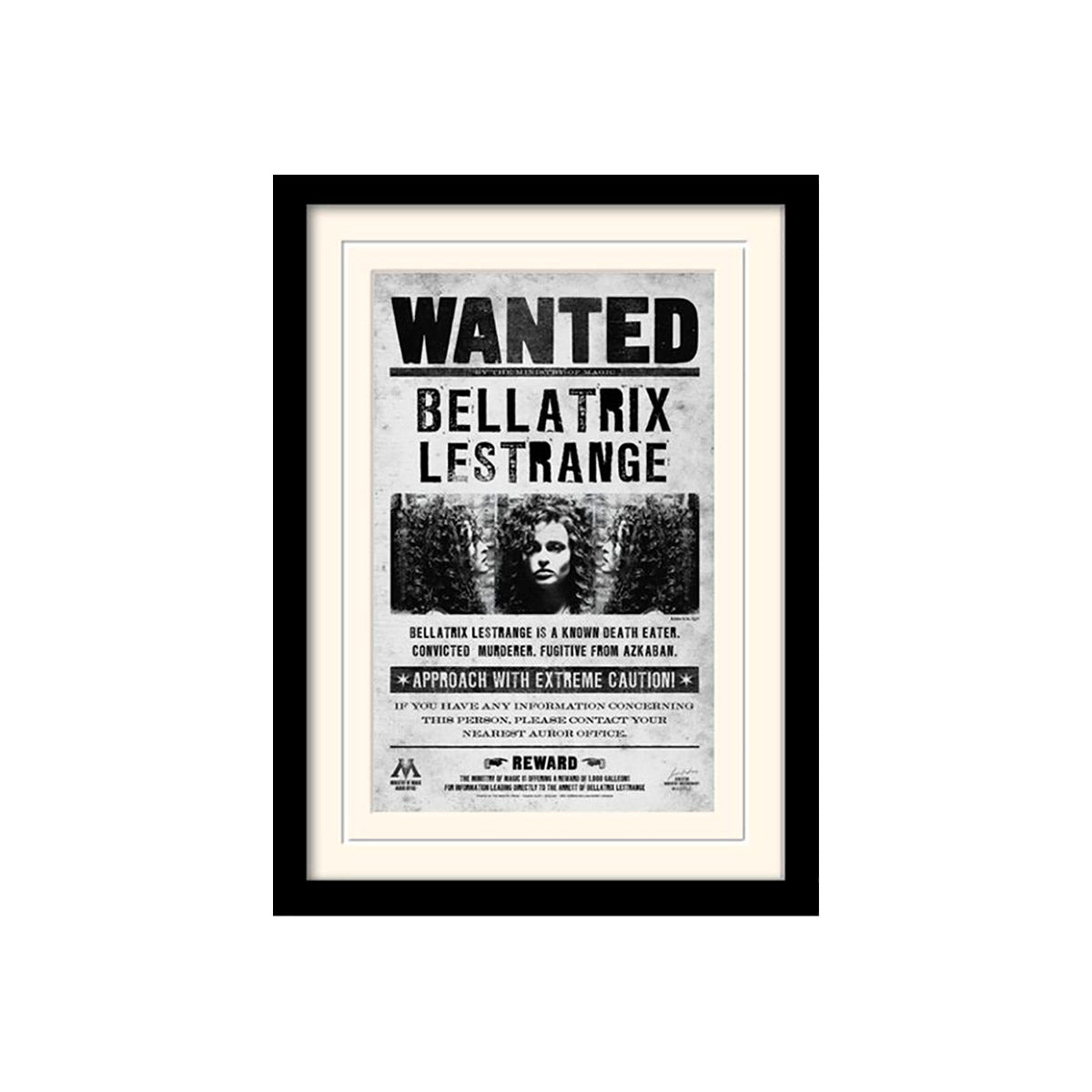 Harry Potter - Bellatrix Wanted - Kehystetty taidejuliste