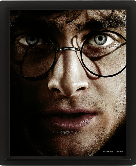 Harry Potter - Harry vs Voldemort - 3D-kuva