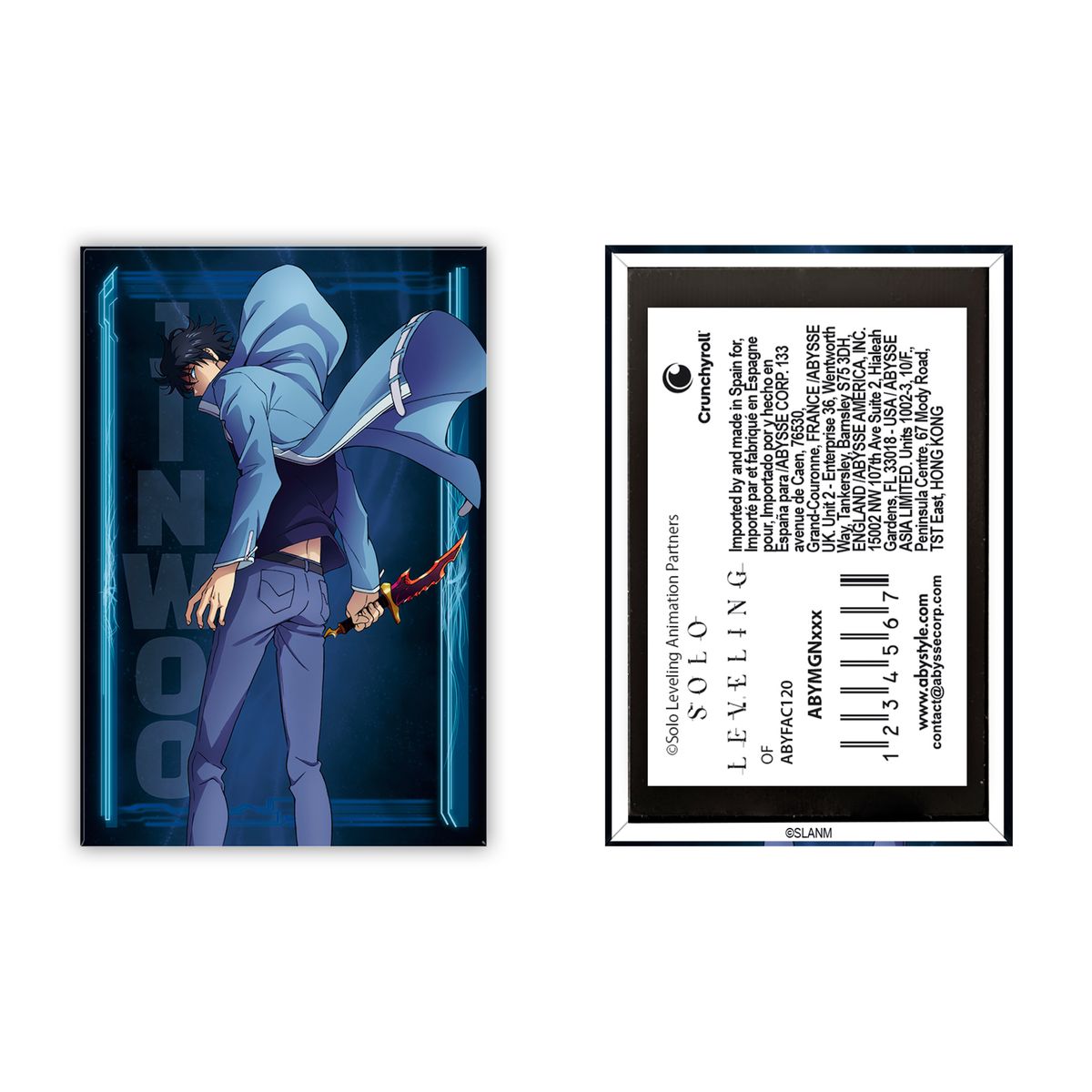 Solo Leveling - Jinwoo - Magneetti