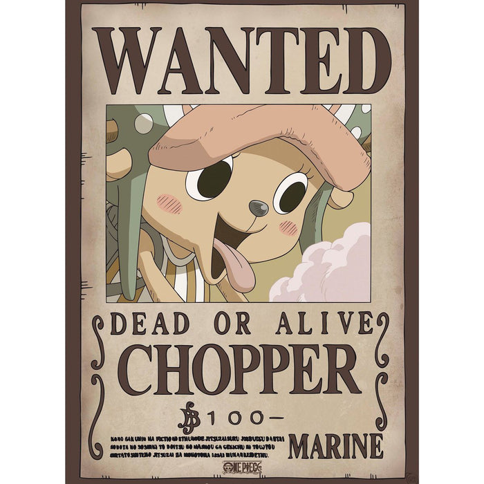 One Piece - Wanted Chopper & Brook - Julistesetti (2 kpl)