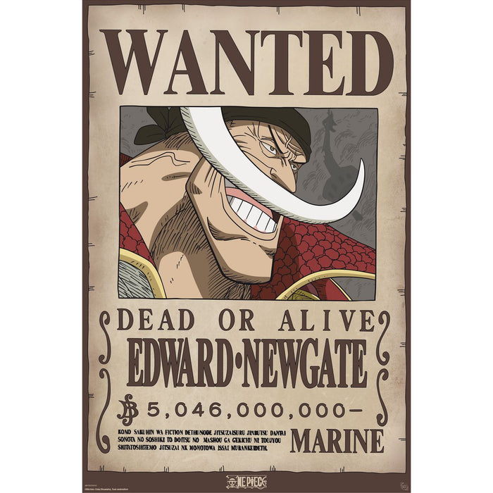 One Piece - Wanted Whitebeard - Juliste