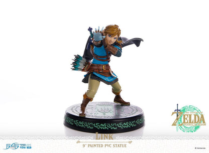 The Legend of Zelda - Tears of the Kingdom Link - Figure