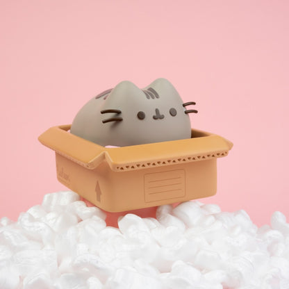Pusheen - Box - Rahalipas / säästölipas