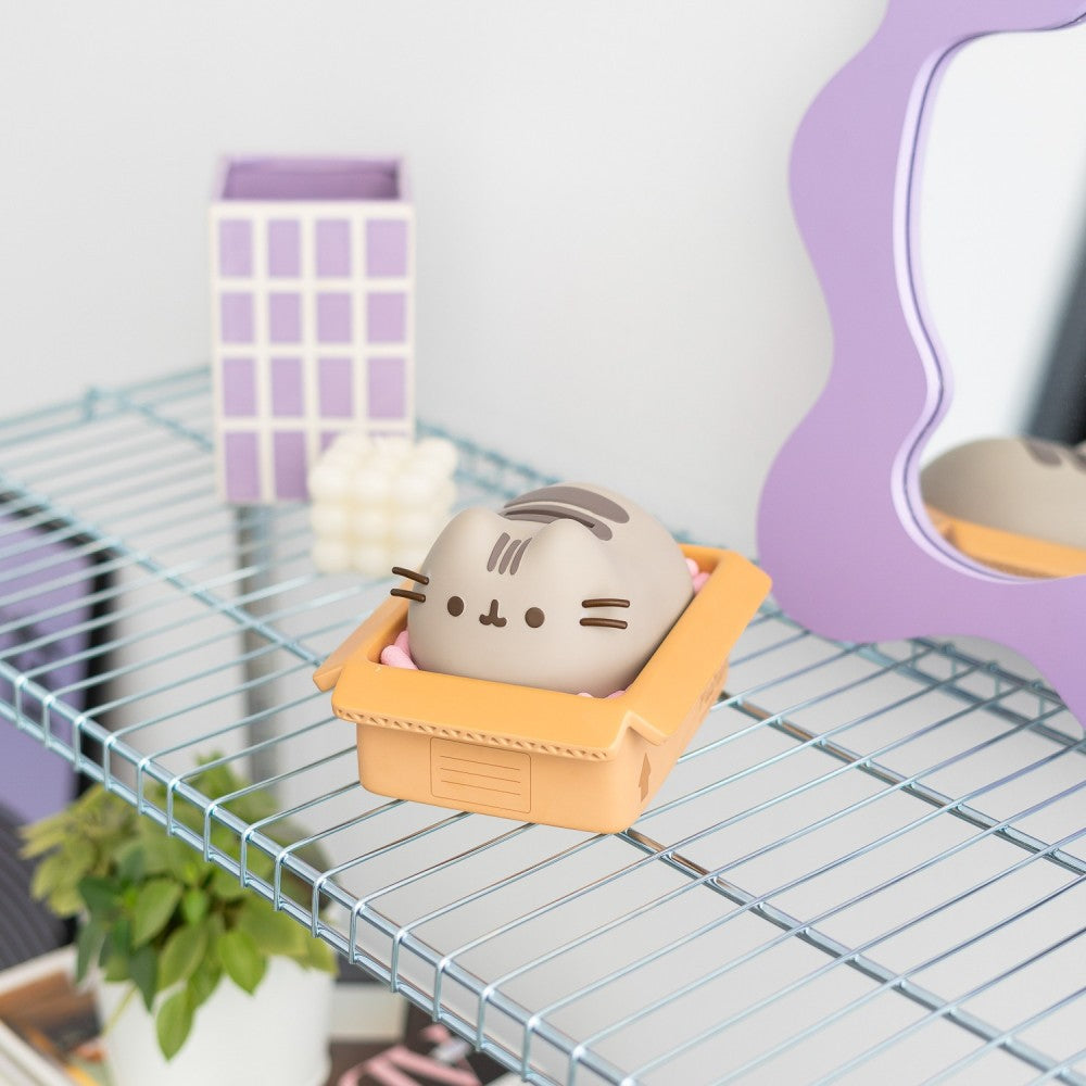 Pusheen - Box - Rahalipas / säästölipas
