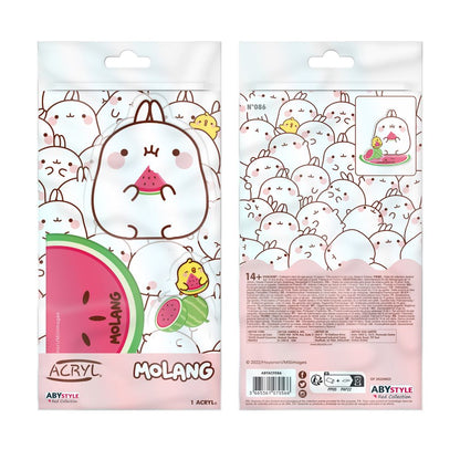 Molang - Watermelon  - Akryylifiguuri (keräilyhahmo)