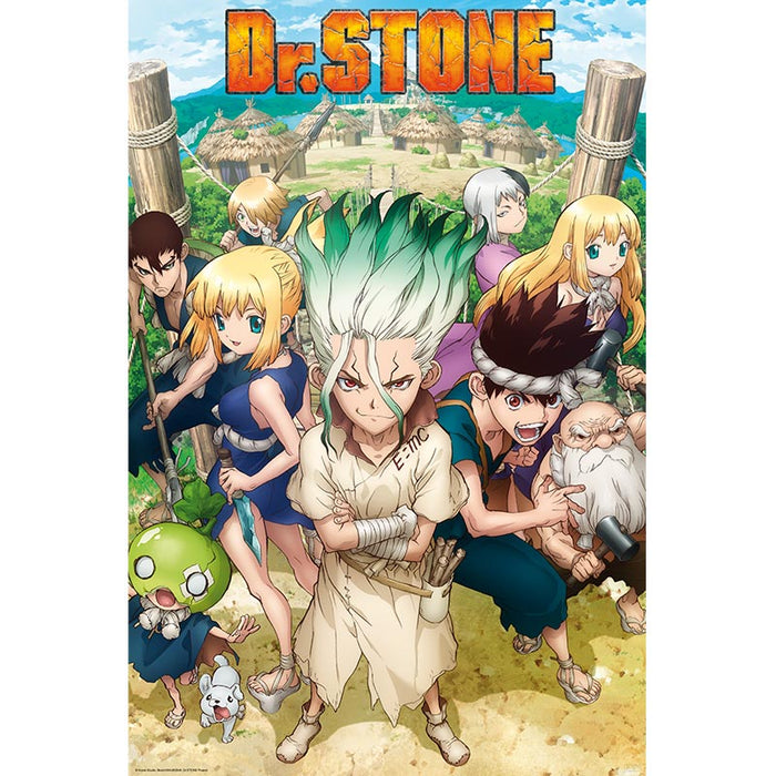 Dr. Stone - Group - Juliste