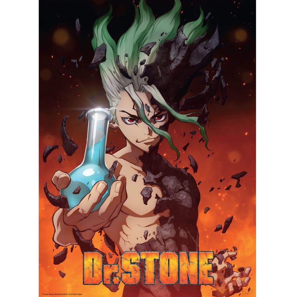 Dr. Stone - Group & Artwork - Julistesetti (2 kpl)