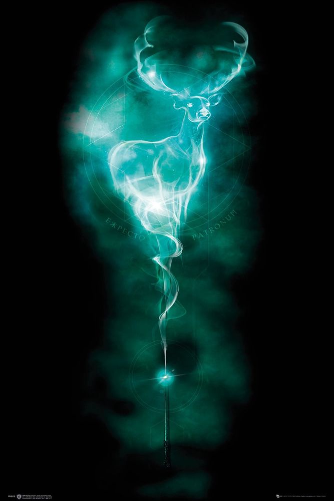 Harry Potter - Patronus Stag - Juliste