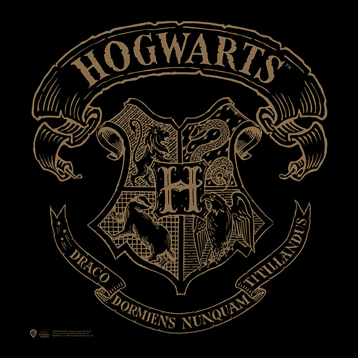 Harry Potter - Hogwarts - Kangaskassi (olkalaukku)