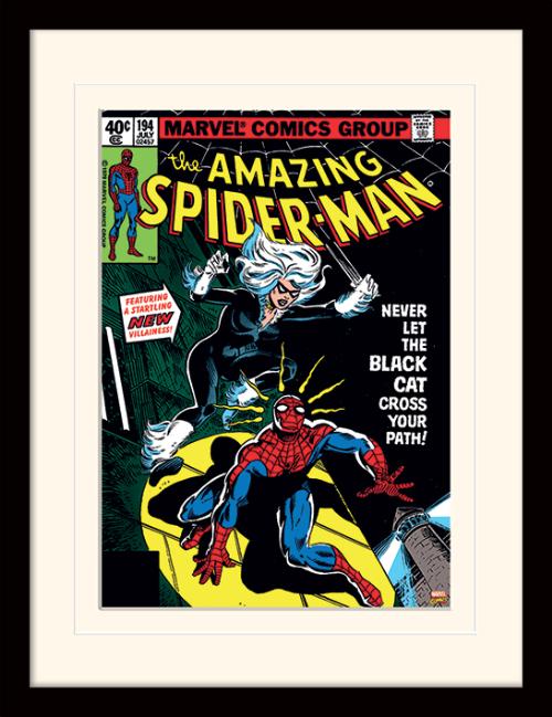 Spider man - Black Cat small - Kehystetty taidejuliste
