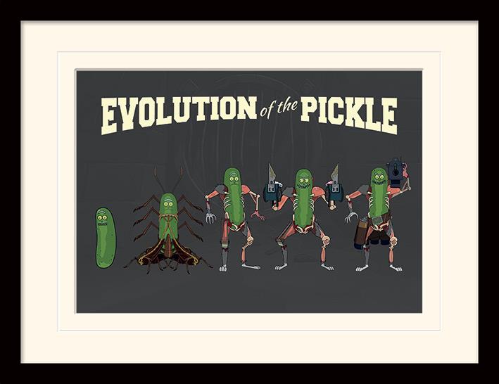 Rick and Morty - Evolution of the Pickle - Kehystetty taidejuliste